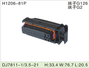 H1206-81P