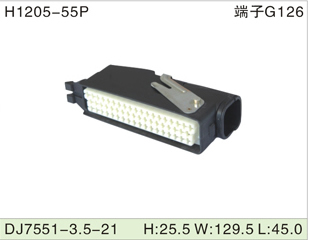 H1205-55P